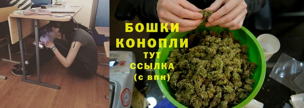 прущие грибы Белокуриха