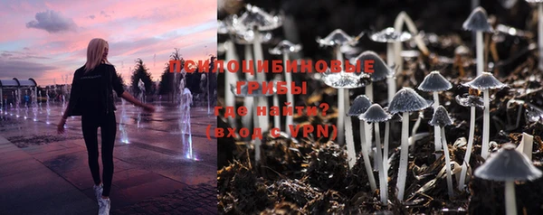 соль ск Беломорск